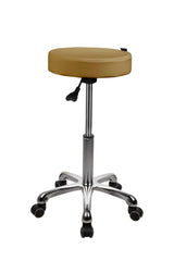 Silverfox 1023A Standard Medical Stool