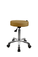 Silverfox 1023A Standard Medical Stool