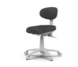 Silverfox 801-C Deluxe Medical Stool with Backrest