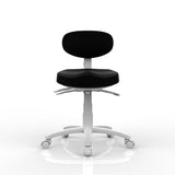 Silverfox 801-C Deluxe Medical Stool with Backrest